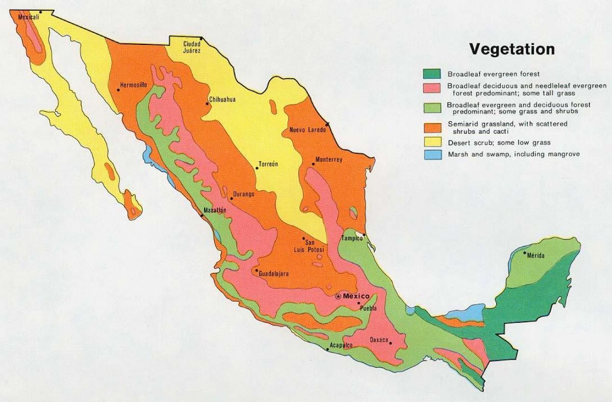քարտեզ Մեքսիկայի բնական ռեսուրսներ