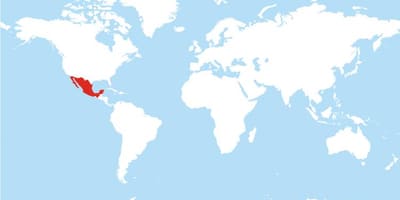 Որտեղից Մեքսիկայի քարտեզի վրա